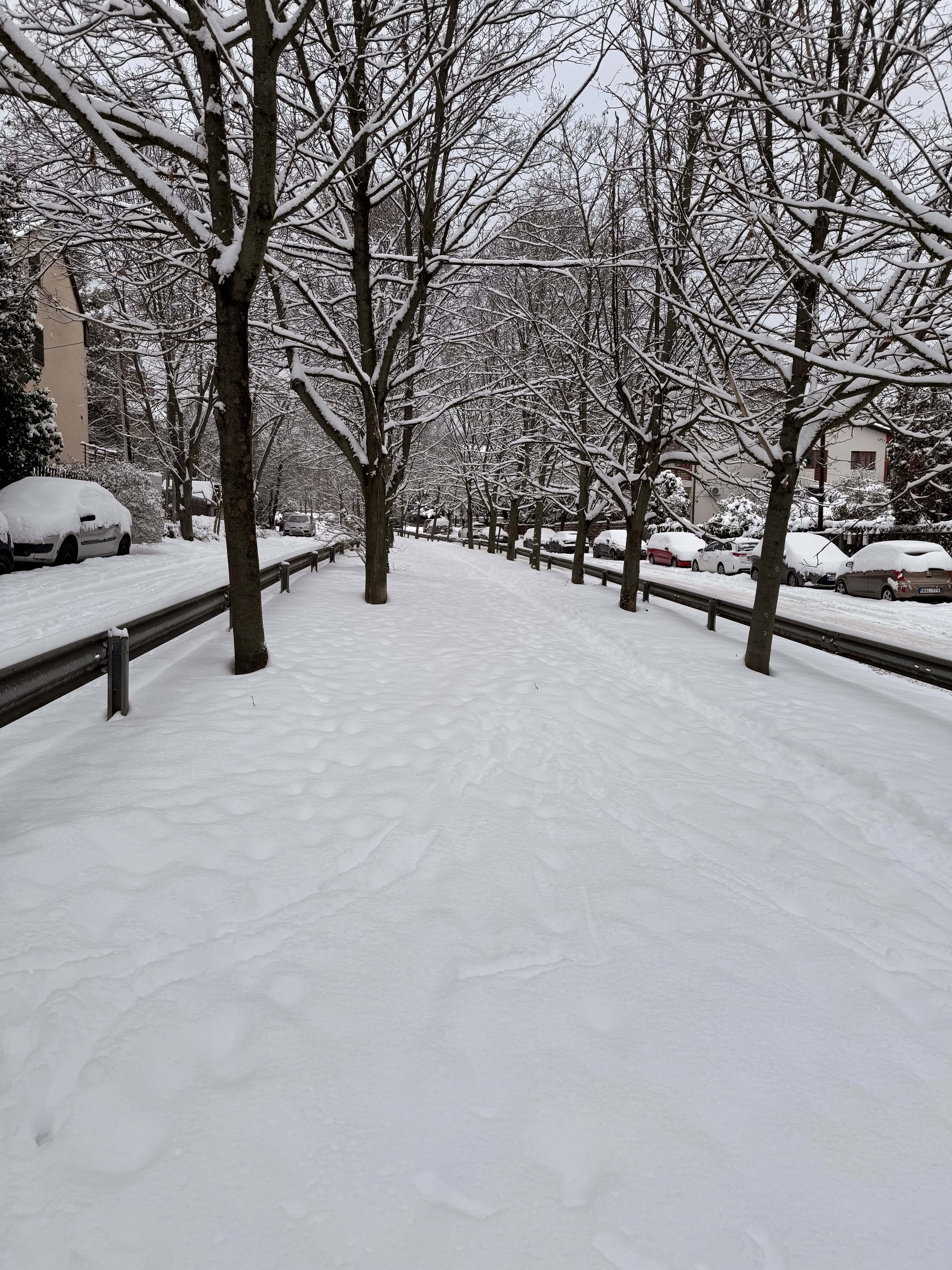 Colleagues walking in snowy Budapest in winter
